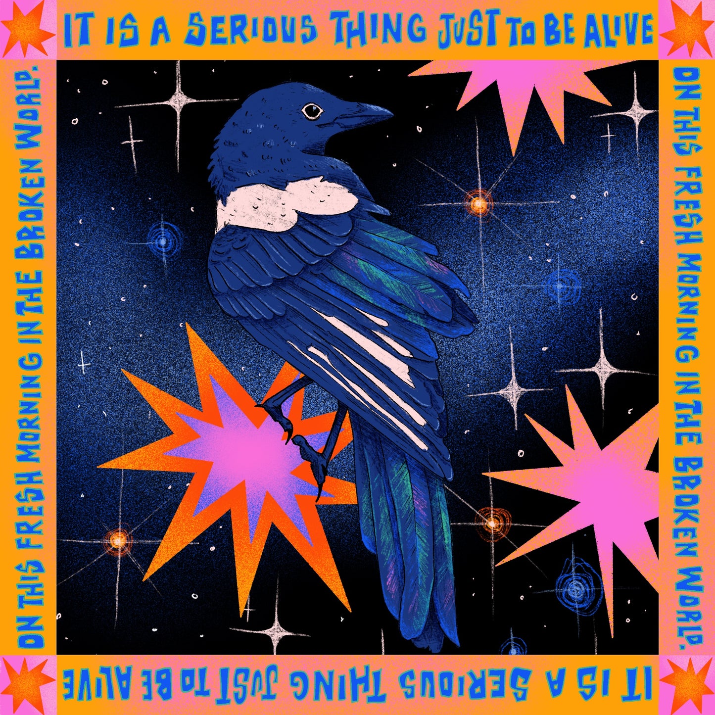 Cosmic Magpie