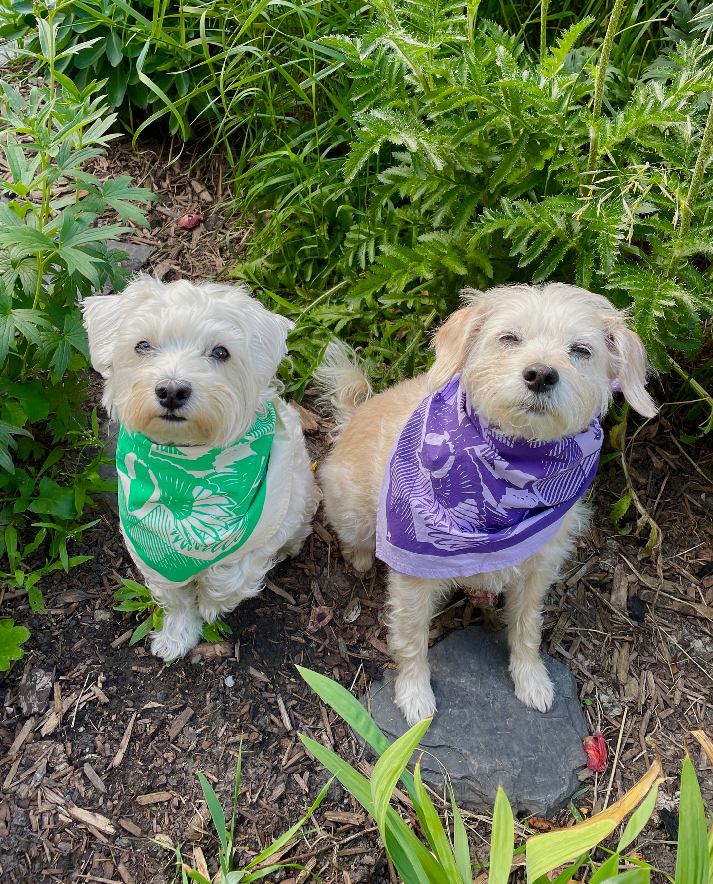 Magpie Bandana